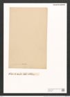 Nitzschia pulcherrima Grun. et Kitt. (de-Toni-Nr.: Genus 47, Species 2059) Zeichnungen Sammlung Grunow (NHMW-BOT-W0371906)